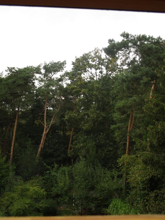De Loteling Zoersel Eksteriør billede